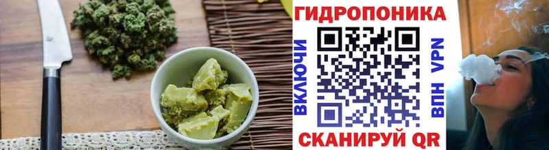 Cannafood марихуана  Новороссийск 