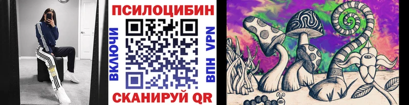 Галлюциногенные грибы Cubensis  как найти наркотики  Новороссийск 