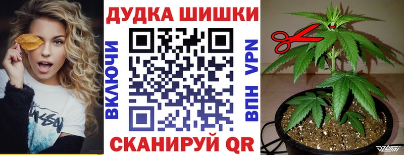 МАРИХУАНА планчик Новороссийск